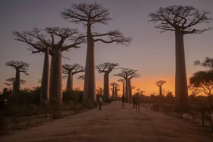 Afrika