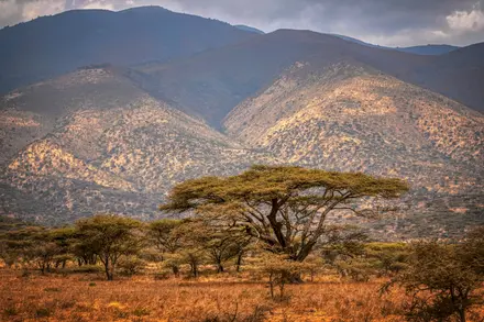 Afrika