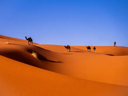 Afrika