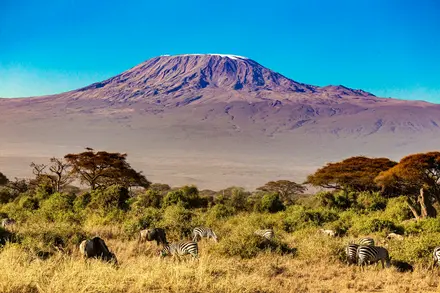 Afrika