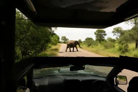 Afrika